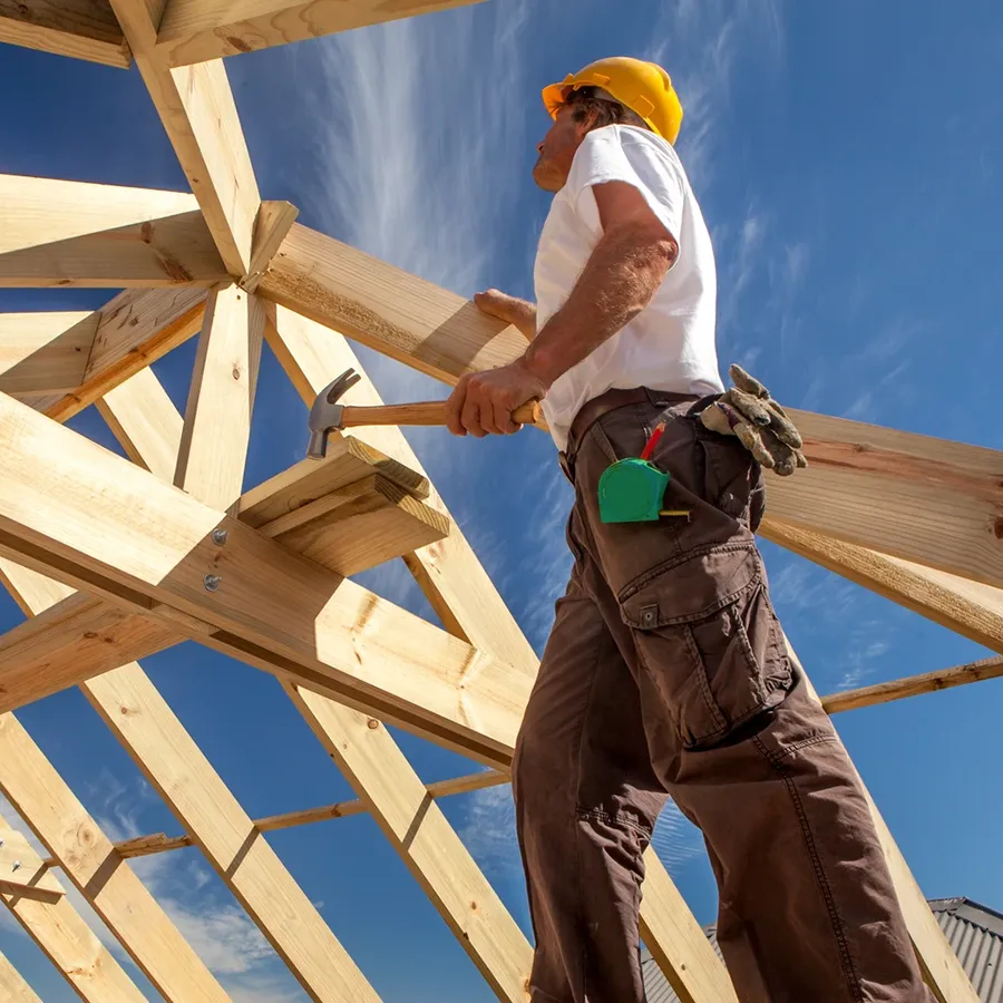 Professional Roofing Contractor